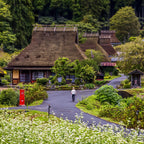 私家团｜伊根-天桥立-美山町秘境治愈1日游