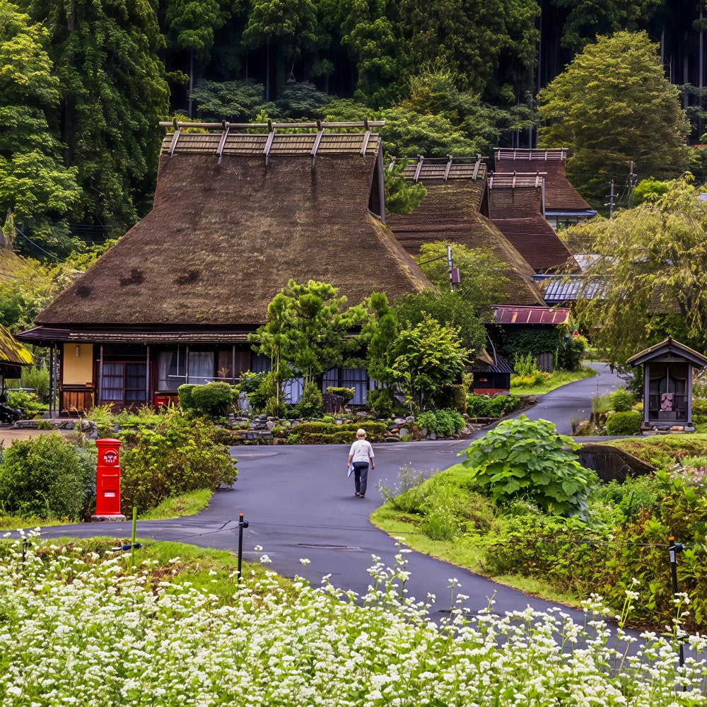 私家团｜伊根-天桥立-美山町秘境治愈1日游