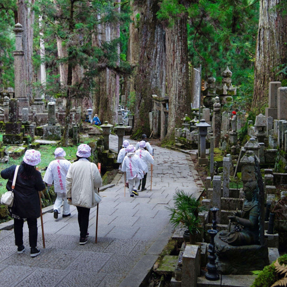 私家团｜高野山圣域巡礼 1日游