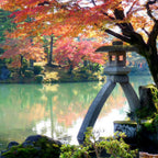 私家团｜金泽古城艺境巡游 1日游