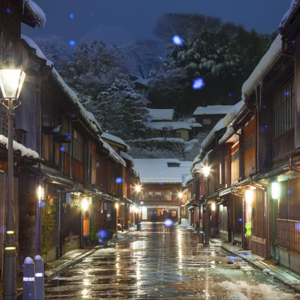 私家团｜金泽古城艺境巡游 1日游