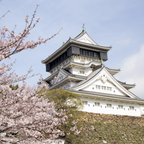 私家团｜关门海峡历史回响·北九州1日游