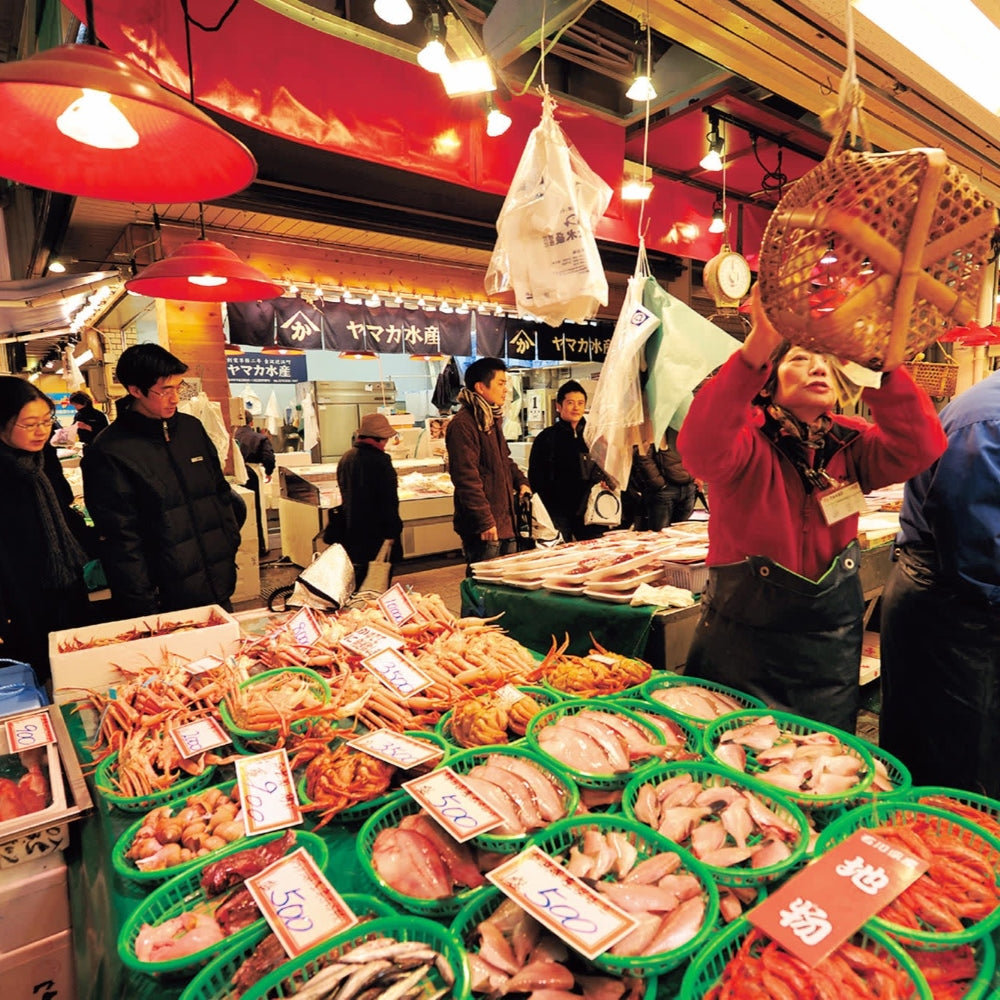 私家团｜金泽古城艺境巡游 1日游