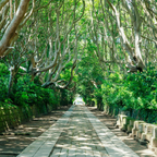 私家团｜茨城海岸风景1日游