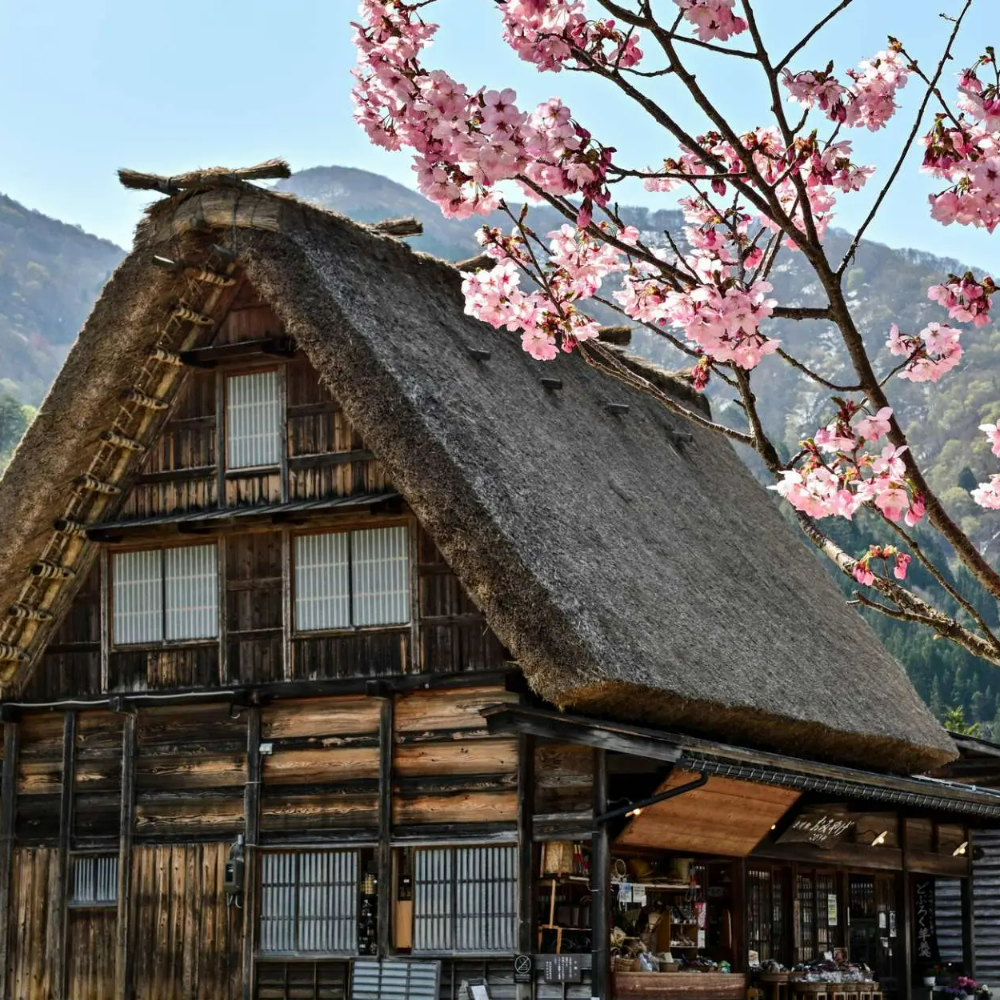 私家团｜世界遗产白川乡&高山 1日游