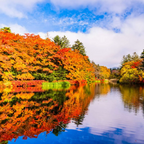 私家团｜轻井泽森系慢生活 1日游