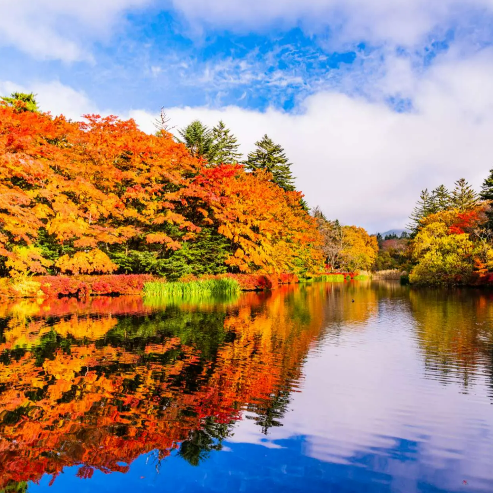 私家团｜轻井泽森系慢生活 1日游