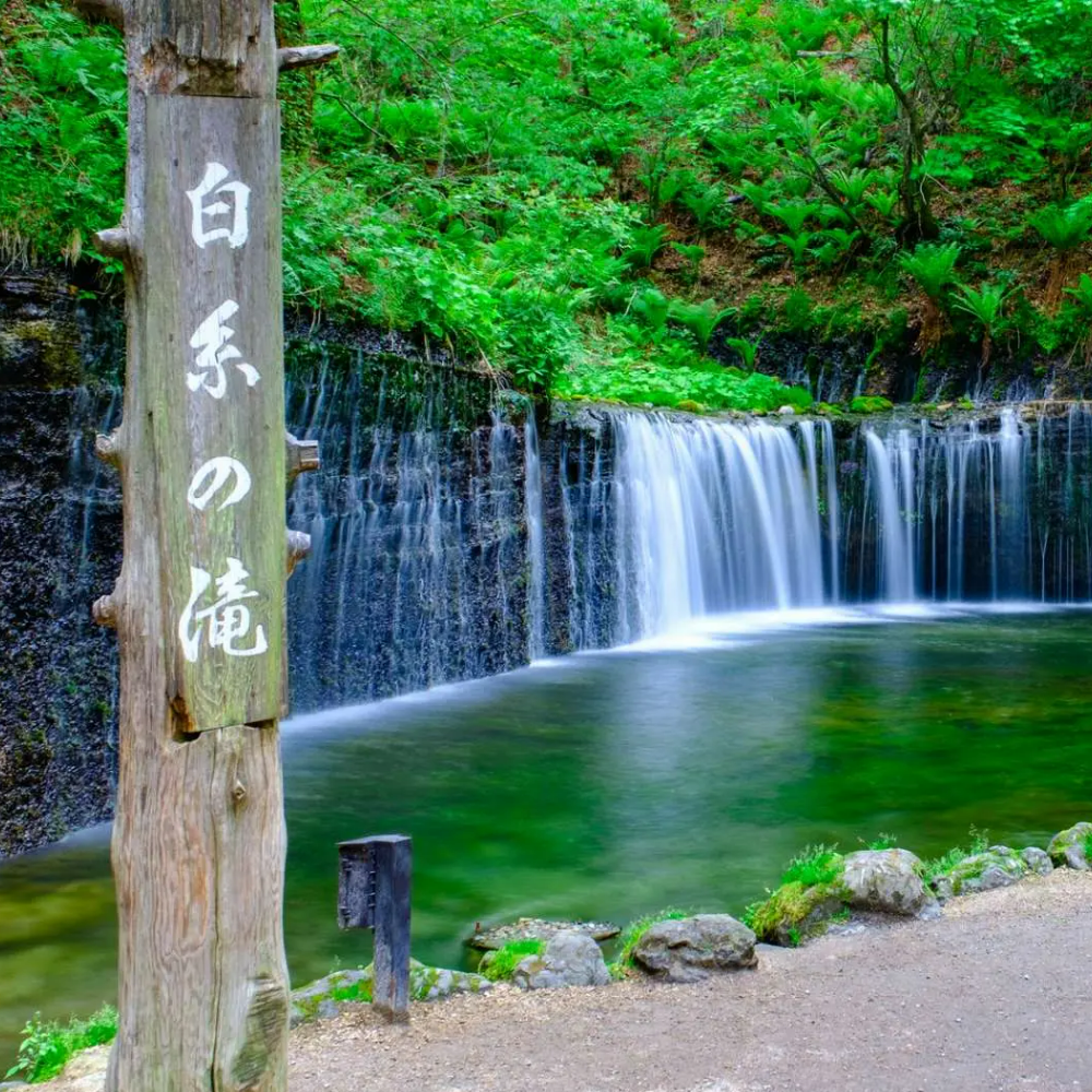 私家团｜轻井泽森系慢生活 1日游