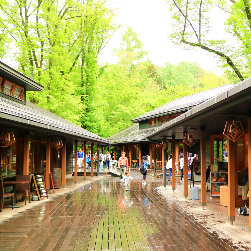 私家团｜轻井泽森系慢生活 1日游