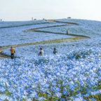 私家团｜茨城海岸风景1日游