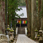 私家团｜高野山圣域巡礼 1日游