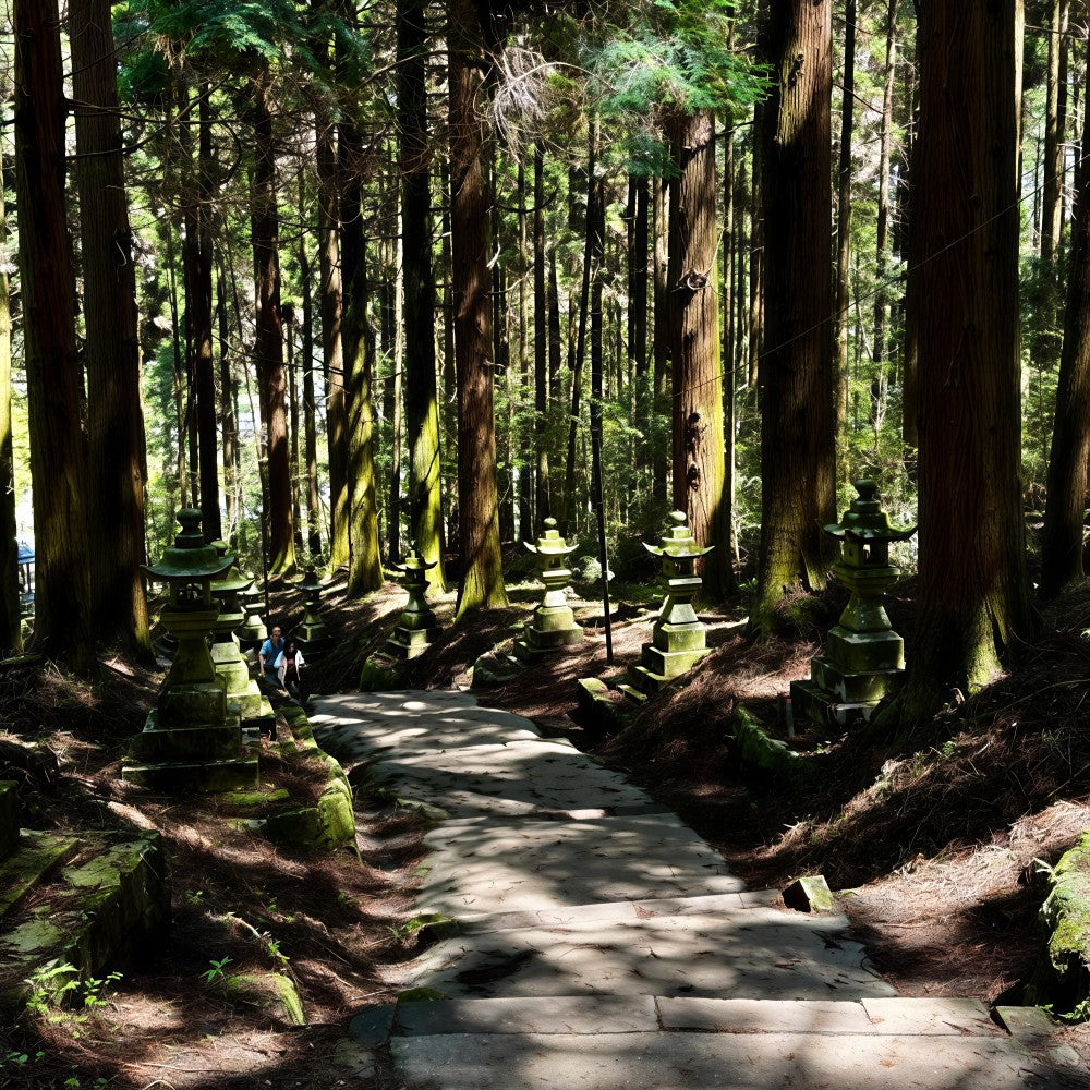 私家团｜ 熊本&阿苏火山秘境治愈1日游
