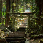 私家团｜ 熊本&阿苏火山秘境治愈1日游