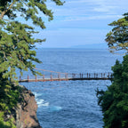 私家团｜伊豆治愈之旅 1日游