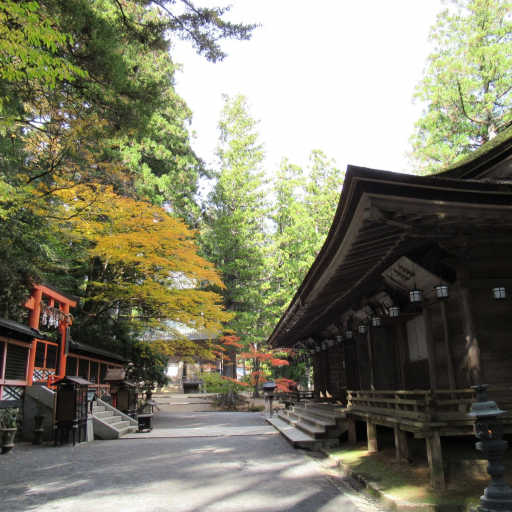 私家团｜高野山圣域巡礼 1日游