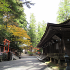 私家团｜高野山圣域巡礼 1日游