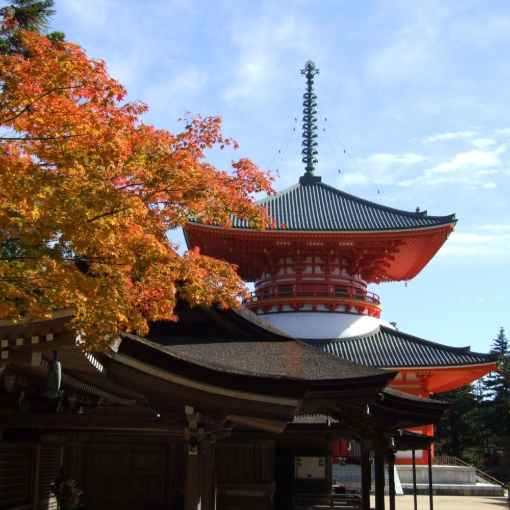 私家团｜高野山圣域巡礼 1日游