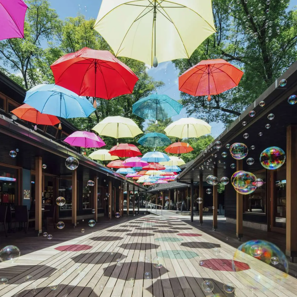 私家团｜轻井泽森系慢生活 1日游