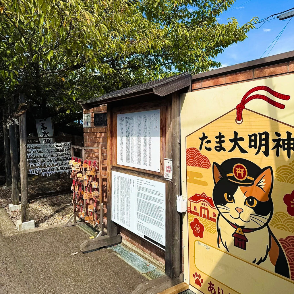 私家团｜和歌山-白浜山海人文 1日游