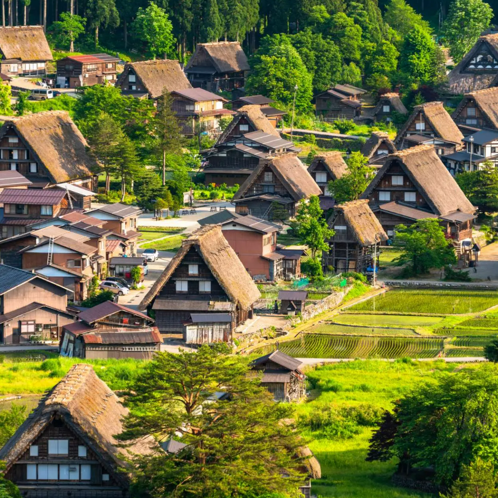 私家团｜世界遗产白川乡&高山 1日游