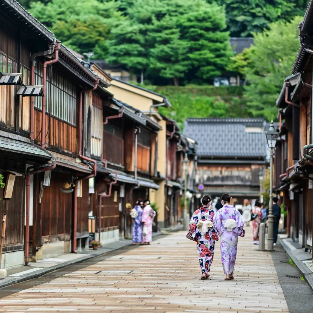 私家团｜金泽古城艺境巡游 1日游