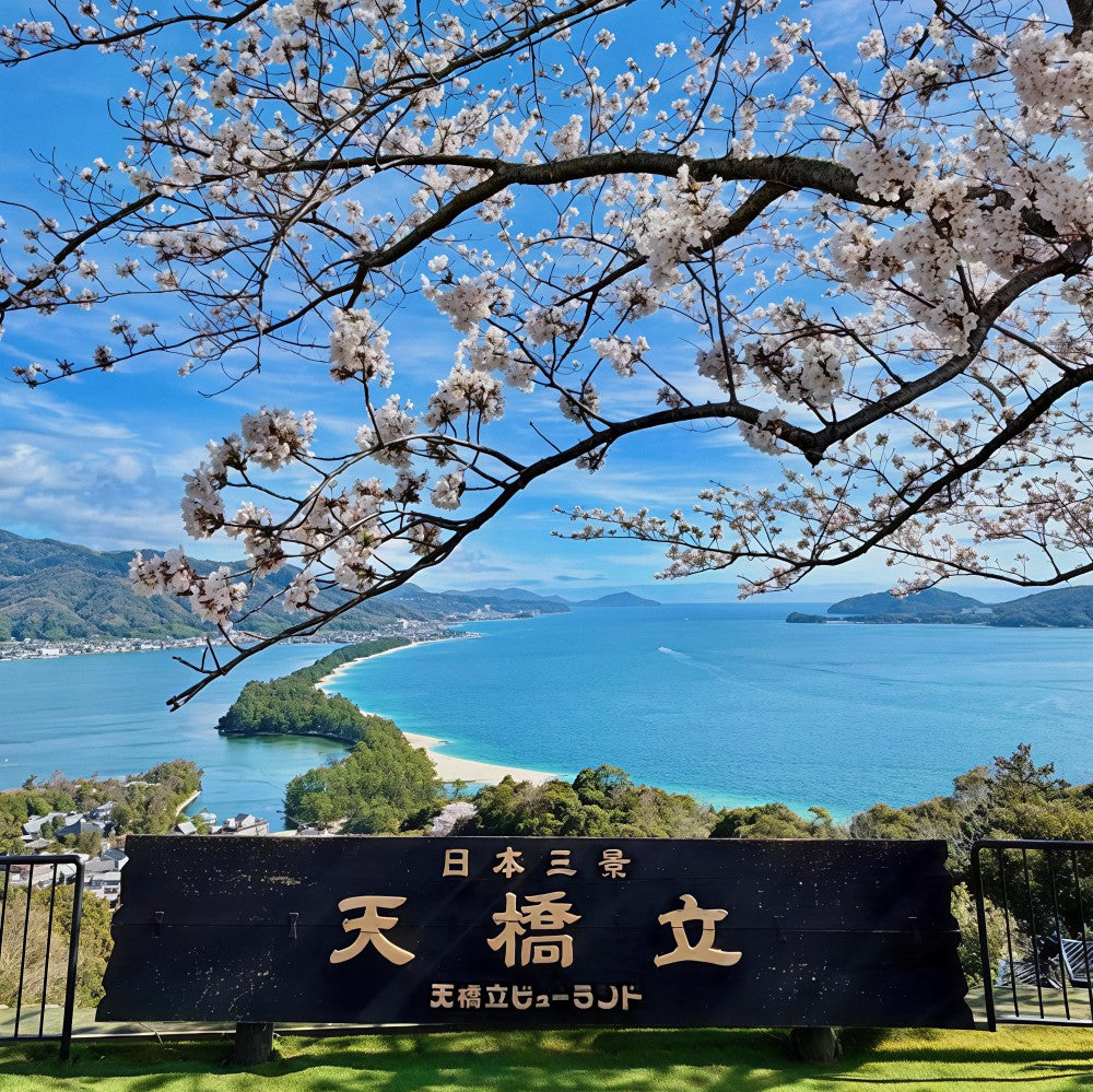 私家团｜伊根-天桥立-美山町秘境治愈1日游