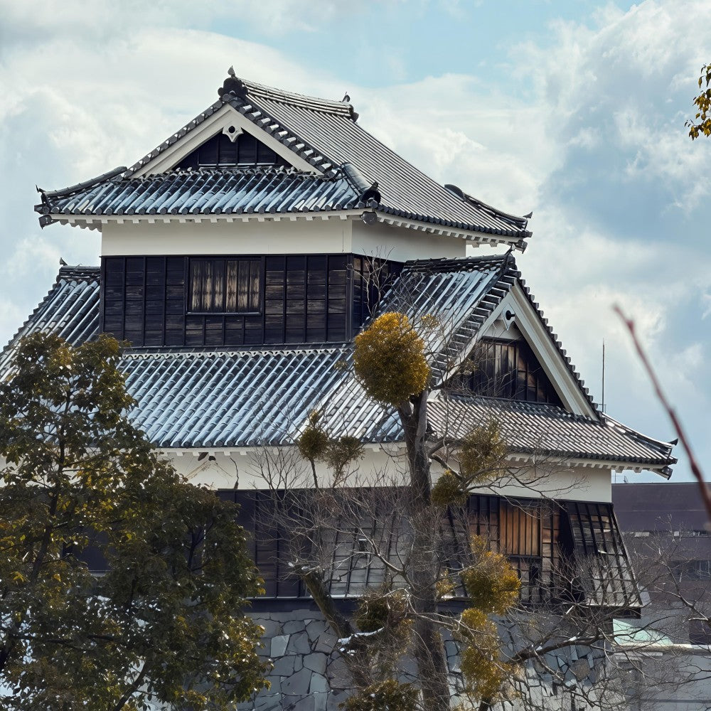 私家团｜ 熊本&阿苏火山秘境治愈1日游