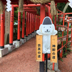 私家团｜金泽古城艺境巡游 1日游