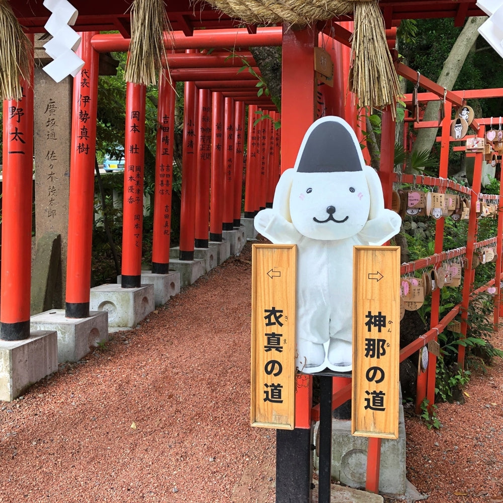 私家团｜金泽古城艺境巡游 1日游