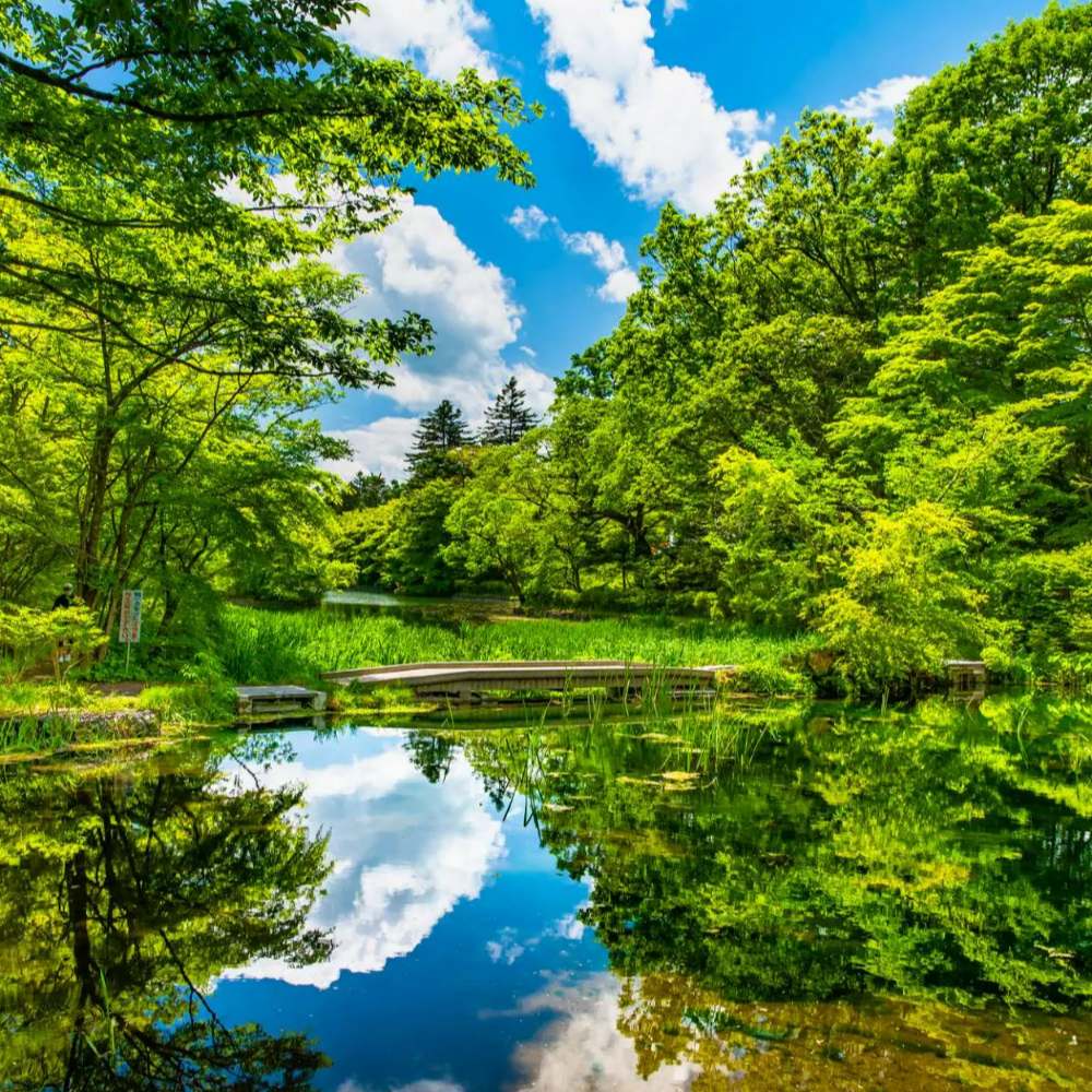 私家团｜轻井泽森系慢生活 1日游