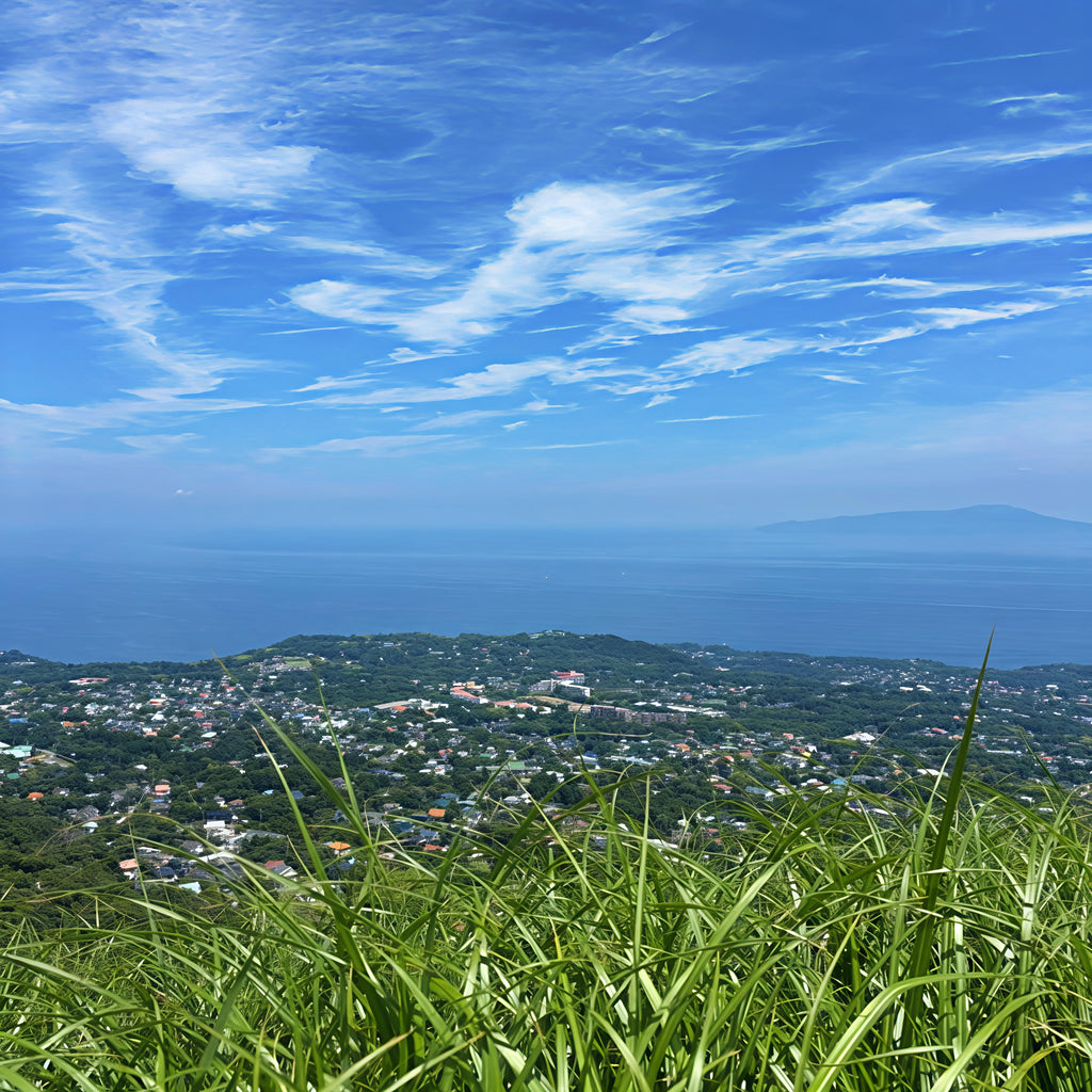 私家团｜伊豆治愈之旅 1日游