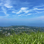 私家团｜伊豆治愈之旅 1日游