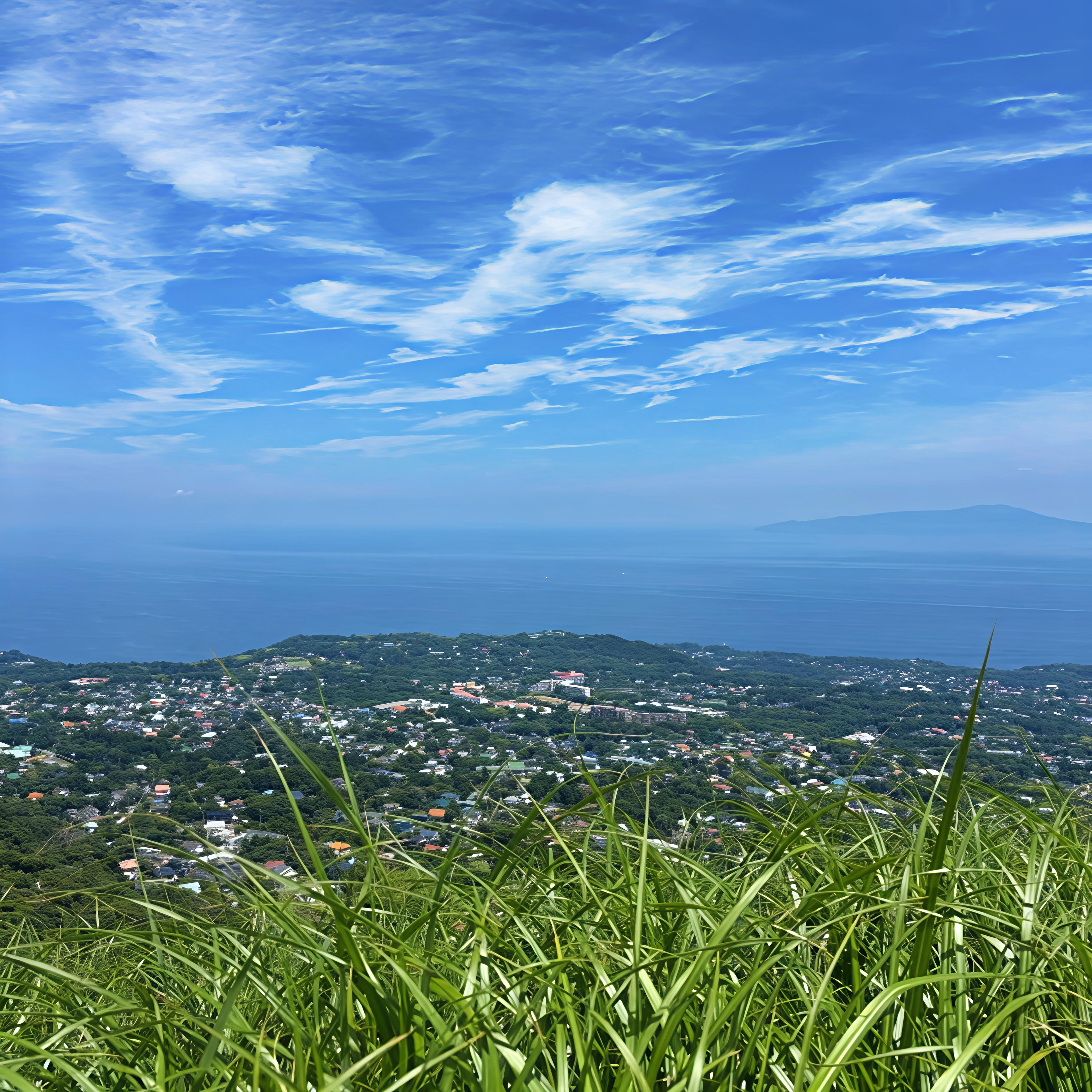 私家团｜伊豆治愈之旅 1日游
