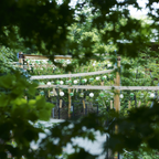 私家团｜小江户川越 1日游