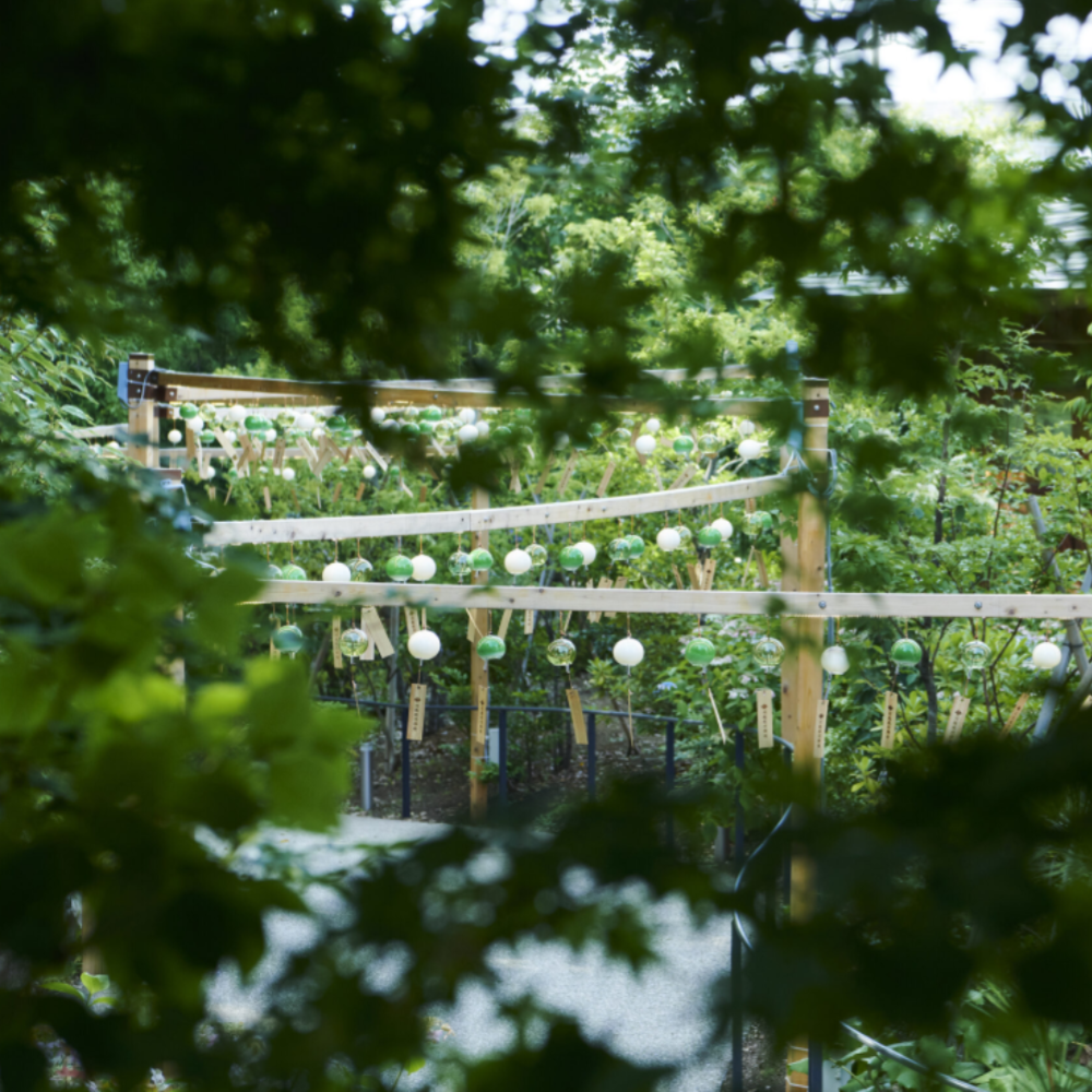 私家团｜小江户川越 1日游