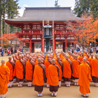 私家团｜高野山圣域巡礼 1日游