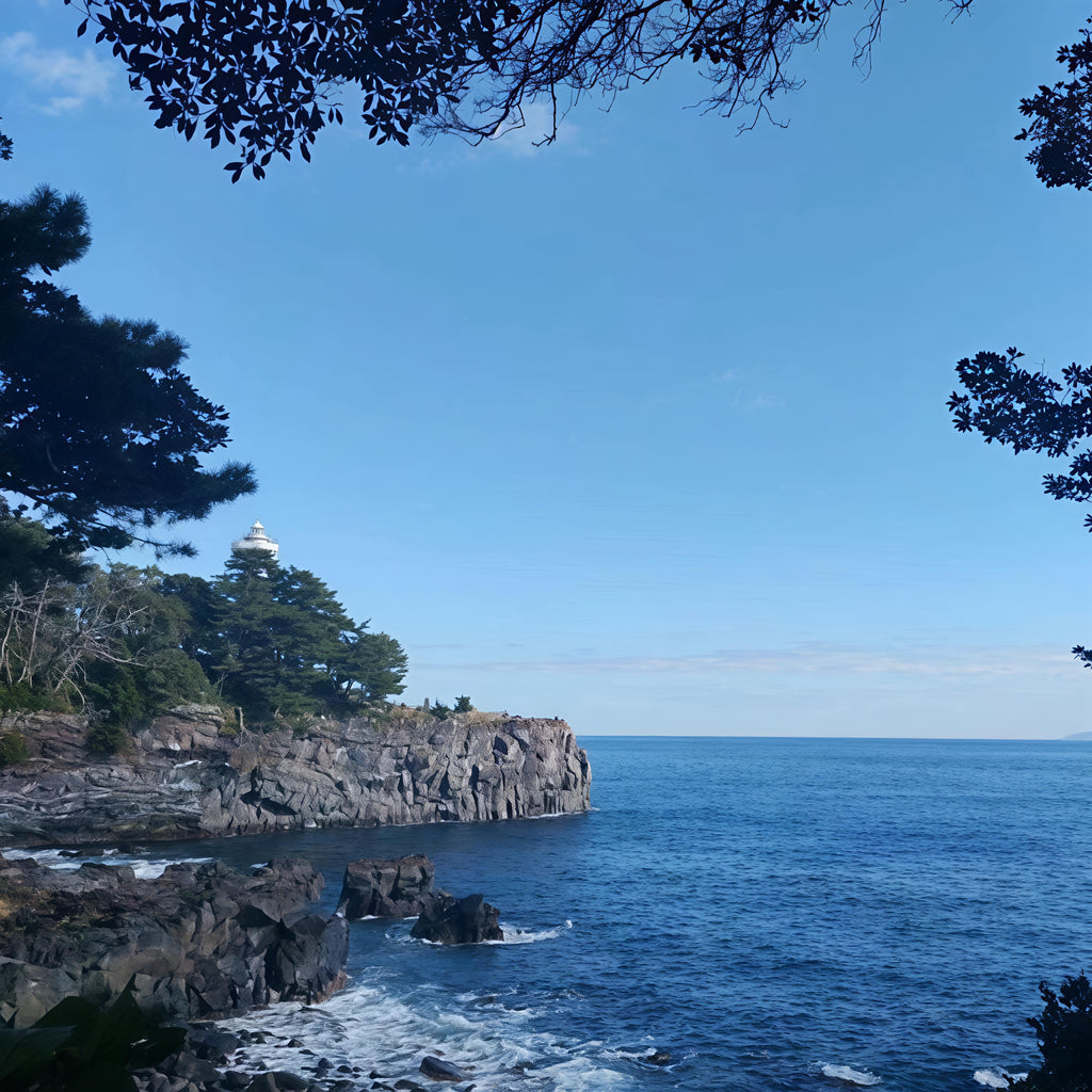 私家团｜伊豆治愈之旅 1日游