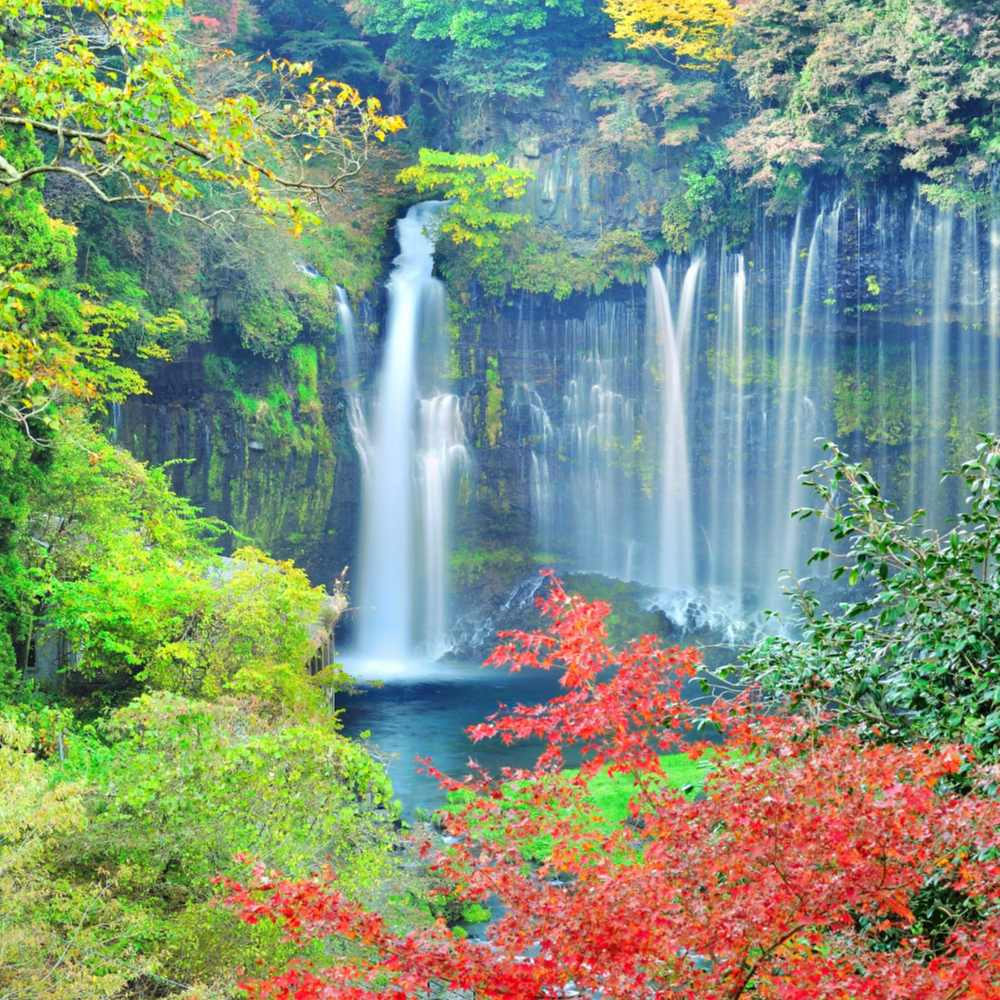 私家团｜轻井泽森系慢生活 1日游