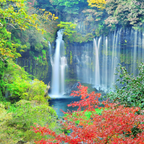 私家团｜轻井泽森系慢生活 1日游