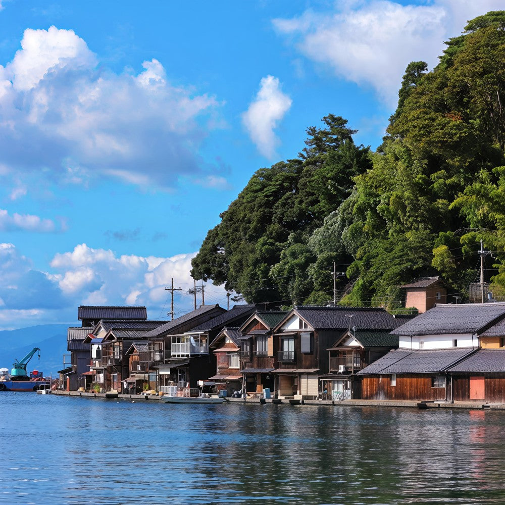 私家团｜伊根-天桥立-美山町秘境治愈1日游