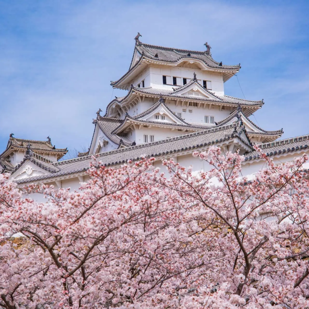 私家团｜国宝姬路城&有马温泉 1日游