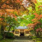 私家团｜高野山圣域巡礼 1日游