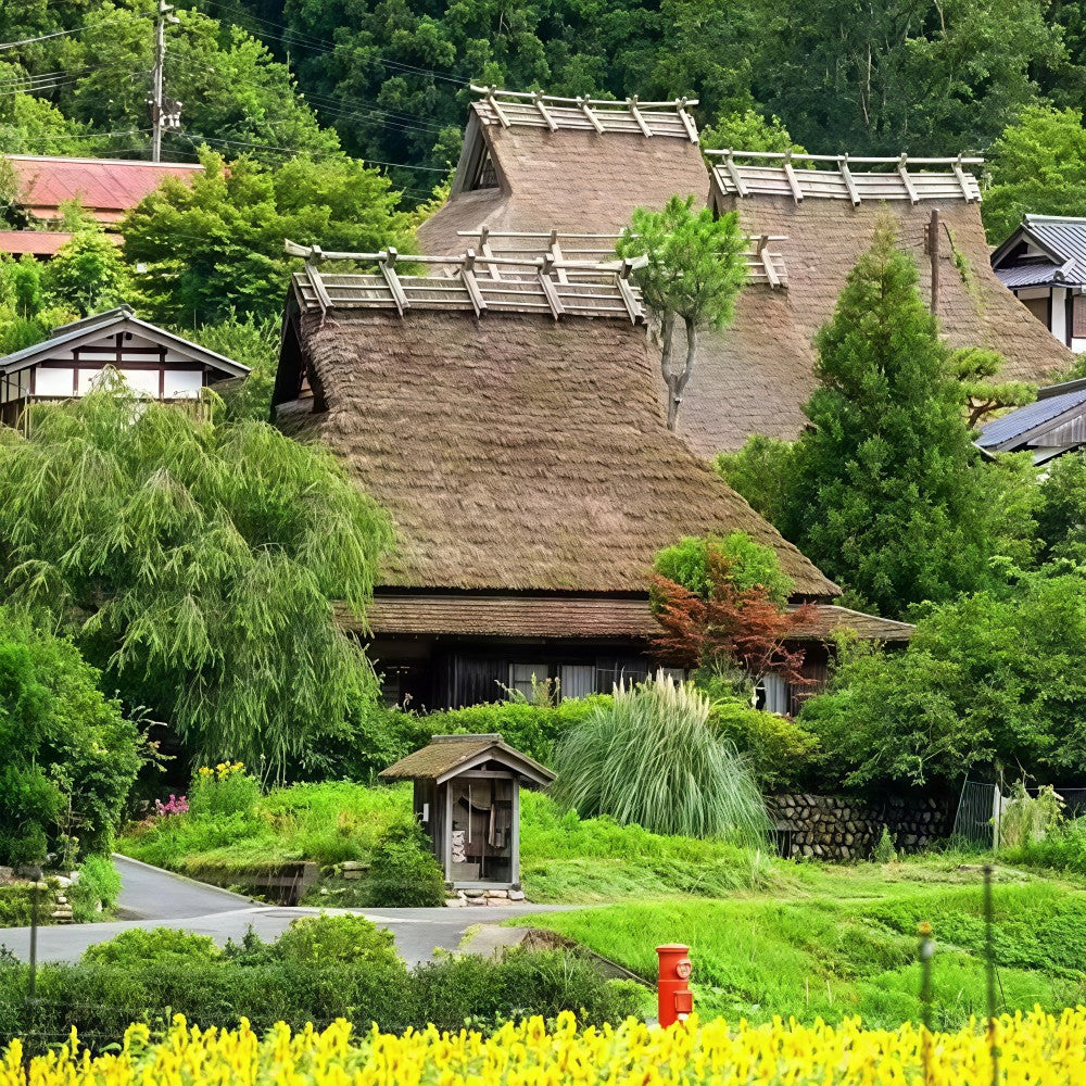 私家团｜伊根-天桥立-美山町秘境治愈1日游