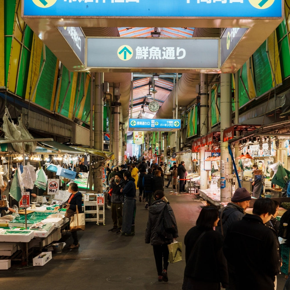 私家团｜金泽古城艺境巡游 1日游