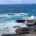 私家团｜和歌山-白浜山海人文 1日游