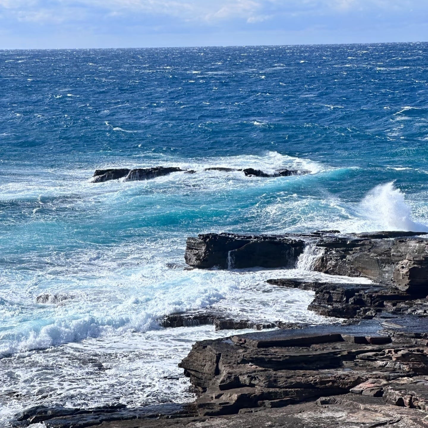 私家团｜和歌山-白浜山海人文 1日游