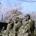 私家团｜小江户川越 1日游