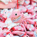 私家团｜小江户川越 1日游