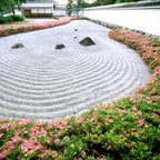 私家团｜国宝姬路城&有马温泉 1日游