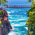 私家团｜伊豆治愈之旅 1日游